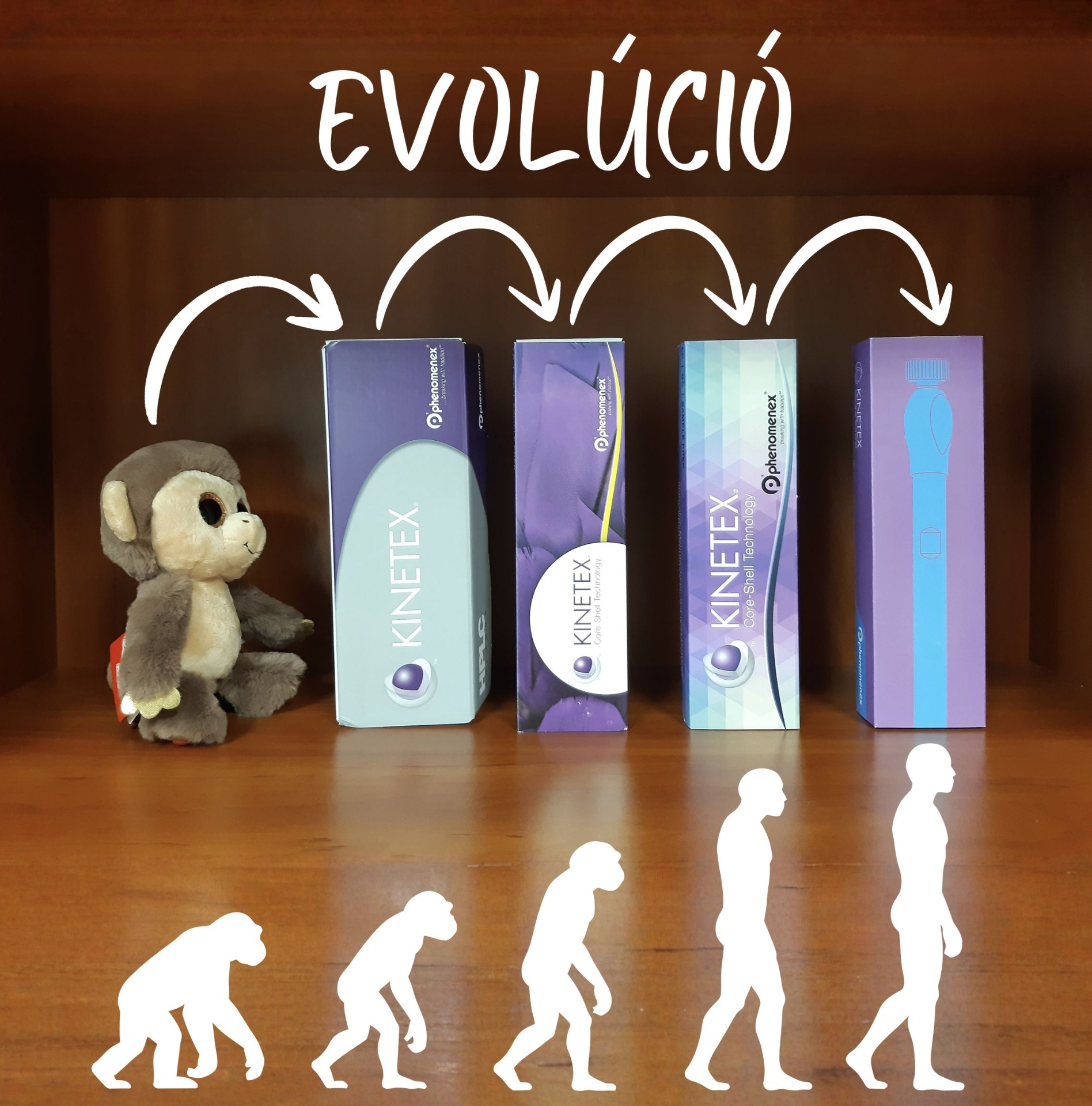 1. helyezett: "Evolúció"