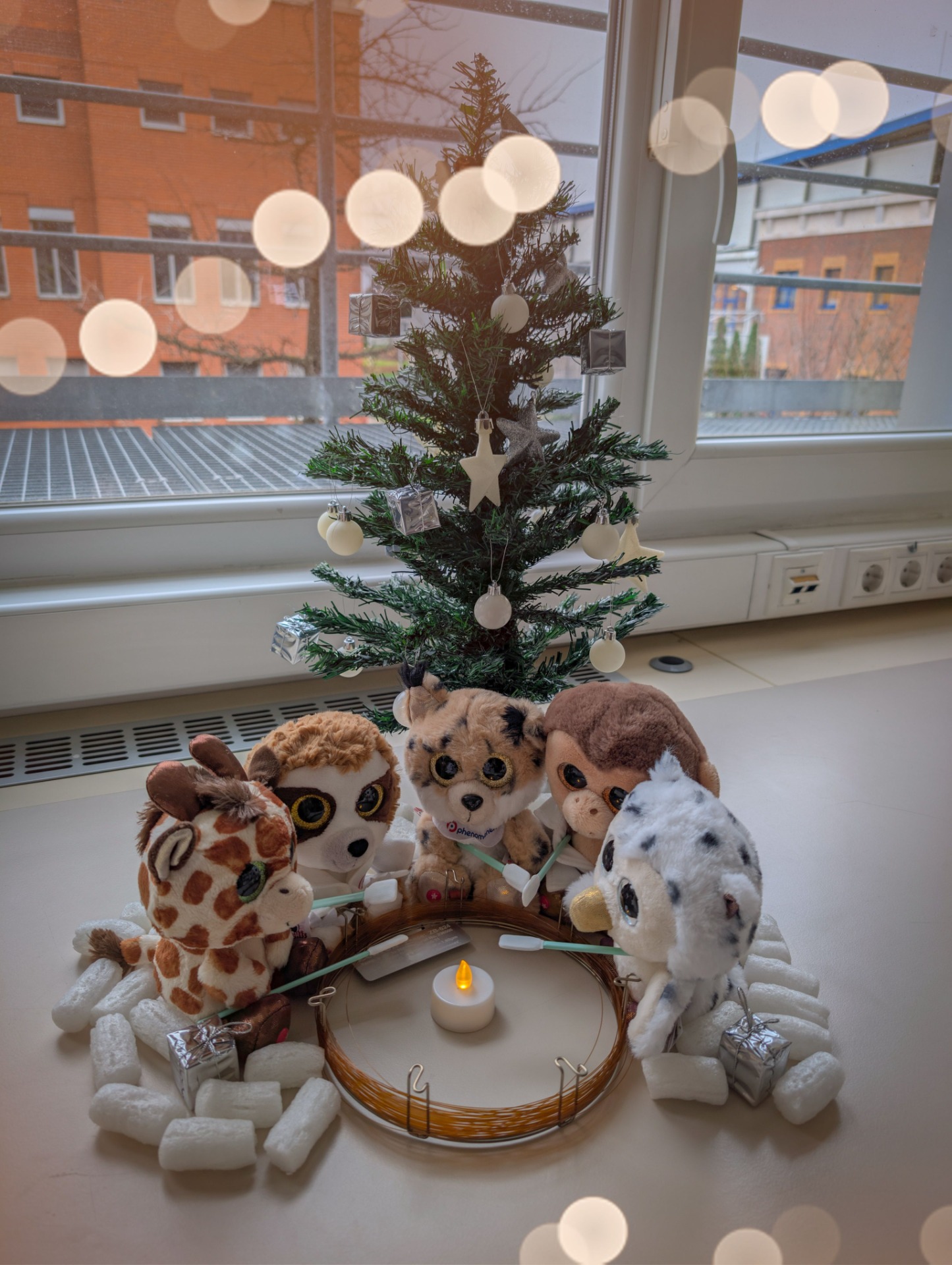 3. helyezett: "Plüss-illuminátus: karácsonyi sütögetés a tábortűznél"